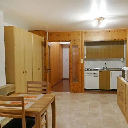 Apartment Bouleaux E5 Apartment Nendaz